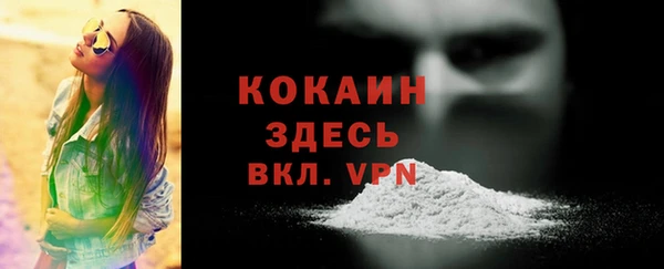 мдпв Дмитриев