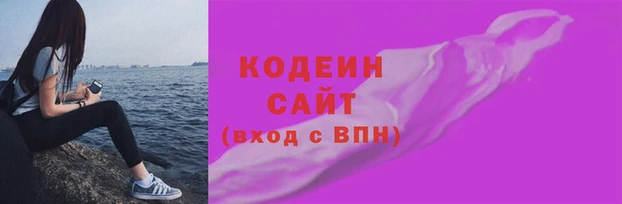 мдпв Дмитриев