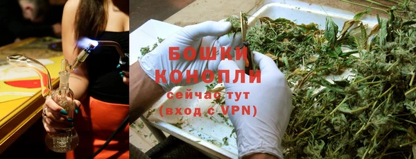 мдпв Дмитриев