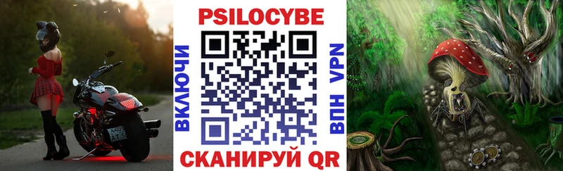 купить наркотик  Новомичуринск  Псилоцибиновые грибы ЛСД 